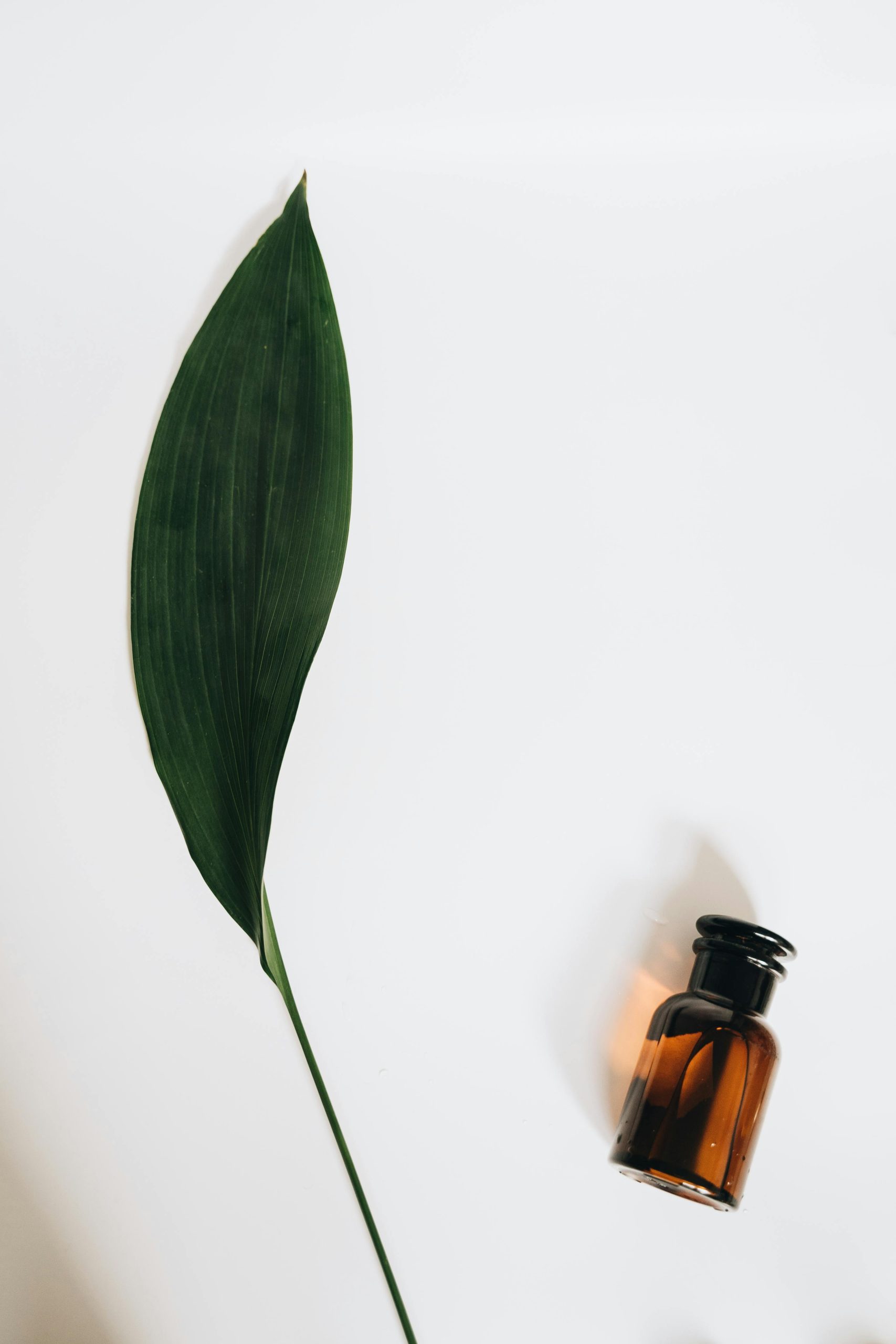 Elegant flat lay of a brown glass bottle and green leaf on a white backdrop, perfect for beauty themes.